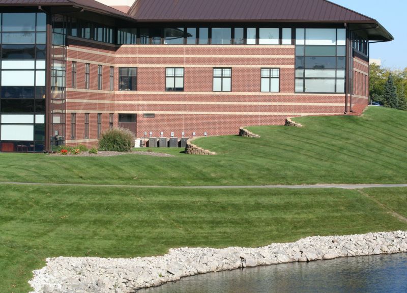 Commercial Yard Maintenance