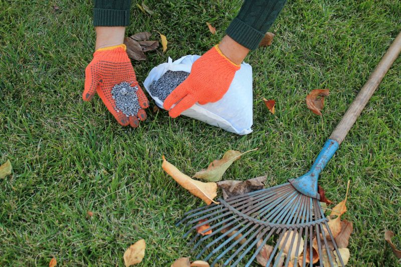 Fall Lawn Care
