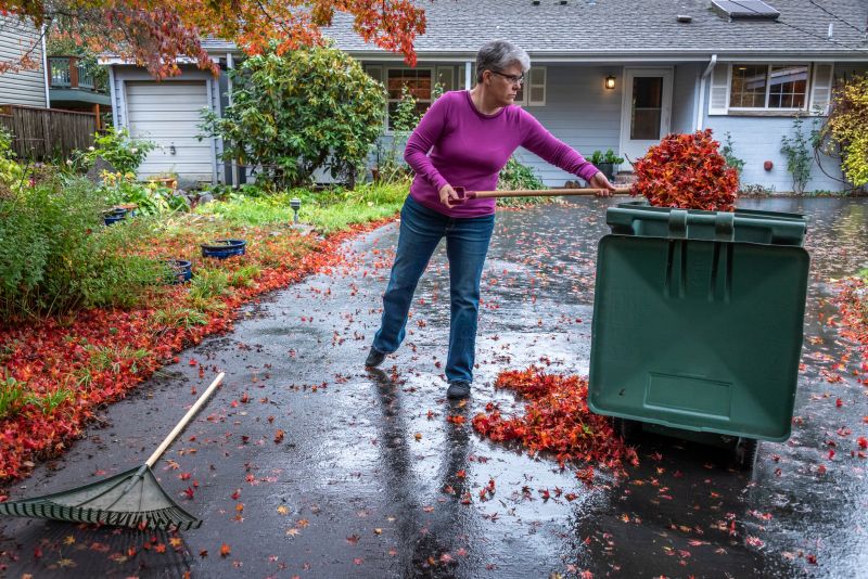 Cleaned-Up Lawn with Fallen Leaves