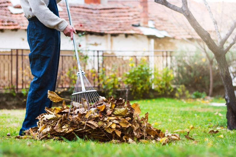 Tools for Fall Yard Maintenance