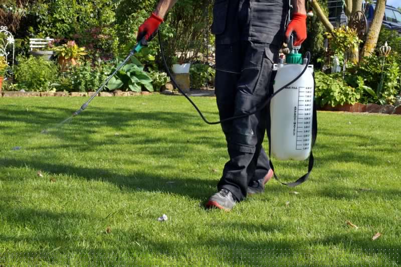 Grass Care Service