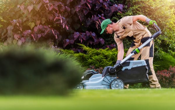 Yard Care Service in Atlanta