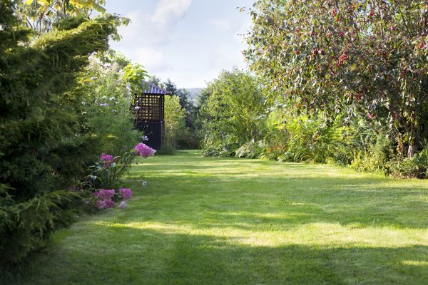 Yard Upkeep Service in Atlanta