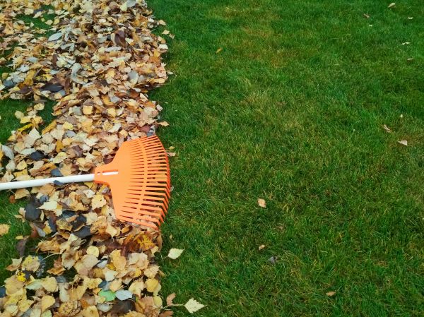 Fall Lawn Care in Atlanta